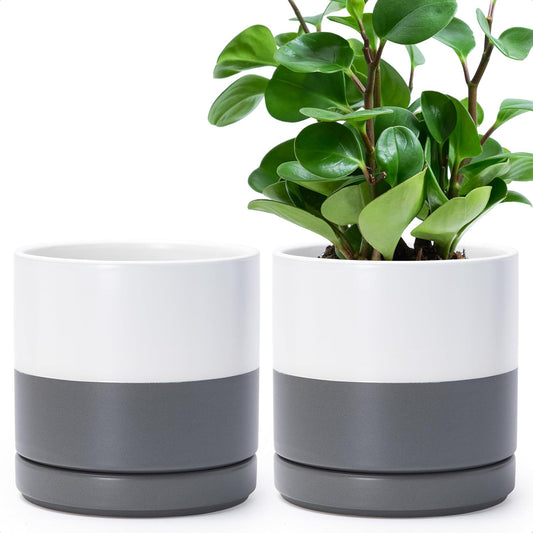 D'vine Dev Set of 2 Plants Pots, 6.5 Inch Ceramic Planter Pot for Plants with Drainage Hole and Saucer, White/Speckled Grey, 94-V-C-6