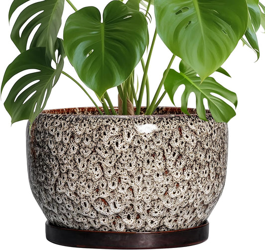 SQOWL Ceramic Plant Pots - 10 Inch Planter for Indoor Plants Outdoor, Large Flower Pots with Drainage Hole and Saucer, Decorative Round Planter, Apartment Decor, Garden Gifts for Women, White