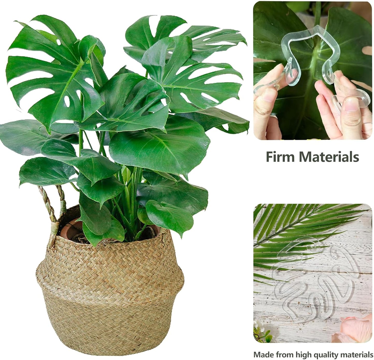 2PCS Plant Stem Support , Acrylic Monstera Stabilizer Grapple Holder Unique Design for Climbing Plants, Turtle Shell Bamboo Clamp Set, Ideal Plant Support for Thriving Growth Indoor Outdoor Plants