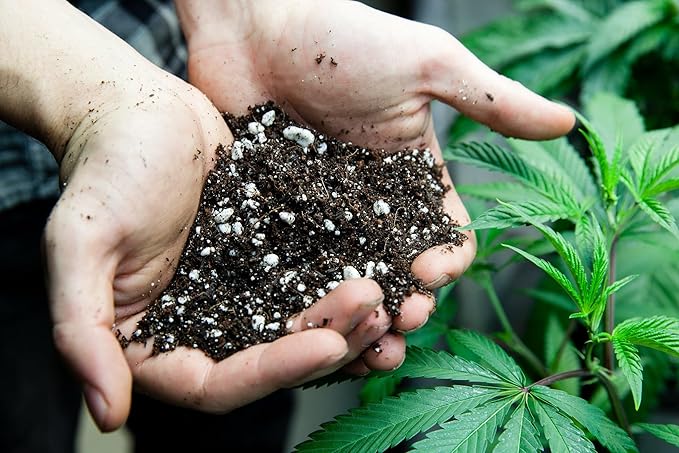 Premium Happy Plant Potting Soil Mix - Optimal Nutrient-Rich Blend for Thriving and HIGH-Yield Herbal Plants - 2 Quart