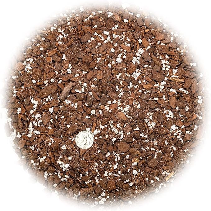 Monstera Adansonii Growing Medium - Enhance Aeration, Drainage & Nutrient Delivery - 3 Quart