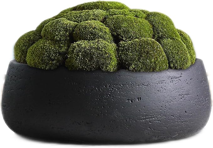 Olly & Rose Copenhagen Large Ceramic Planter Bowl Shallow Plant Pot - Matt Black Flower Pot Indoor and Outdoor Garden Décor…