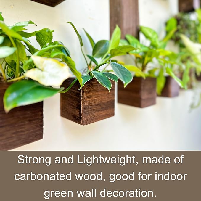 LaLaGreen Wood Planter Boxes for Indoor Plants (6 Pack, 4x4 Inch) Small Square Wall Mounted Planters Flower Pot, Herb Wooden Box Hanging Plant Holder Outdoor Balcony Vertical Garden Modern Home Decor