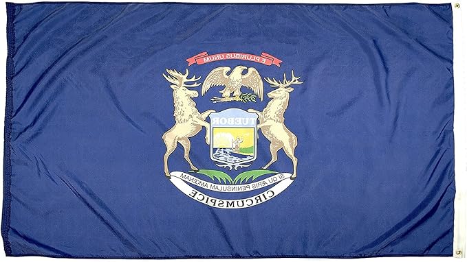 FlagSource Michigan Nylon State Flag, Made in USA, 6x10'