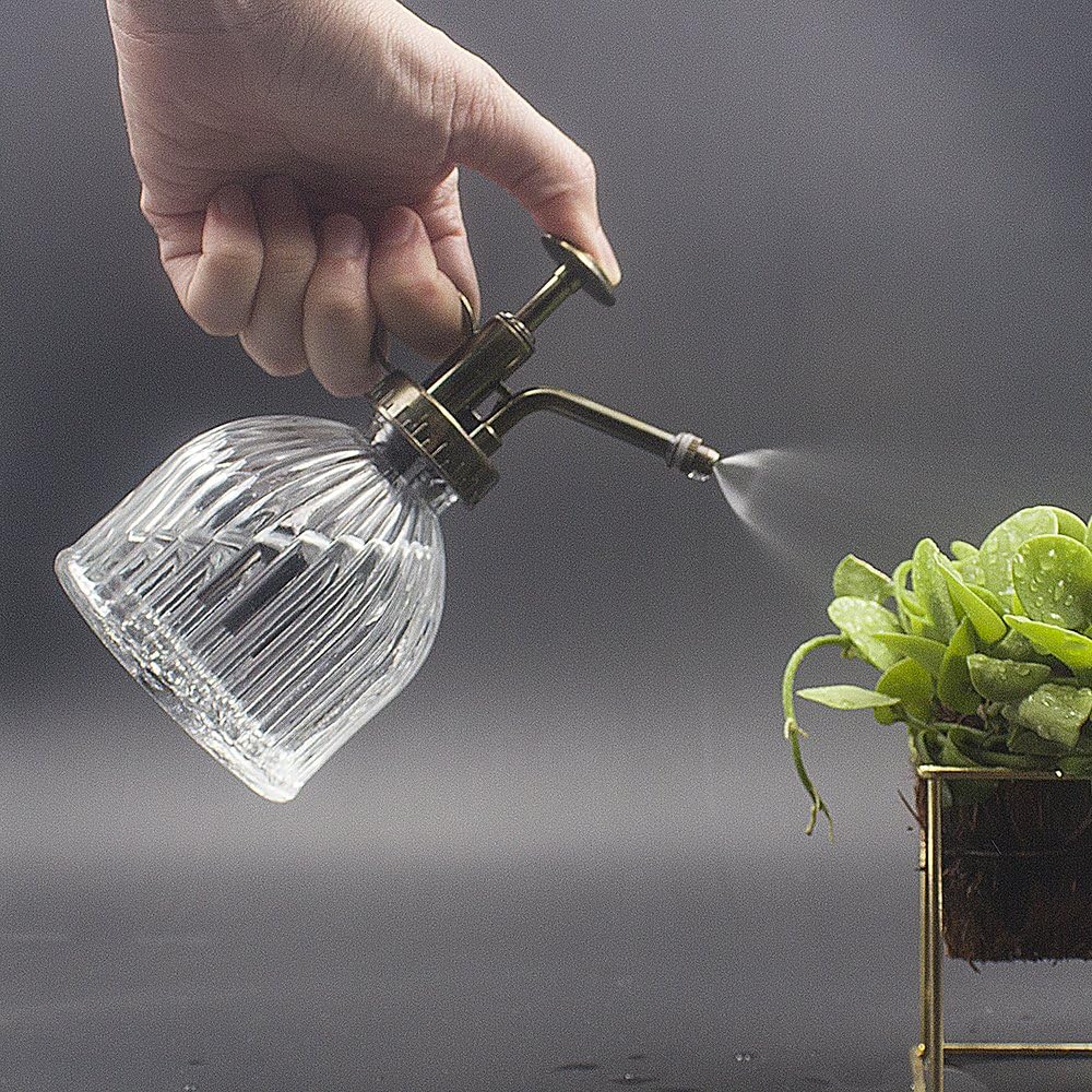 Glass Plant Mister Water Spray Bottle, 200 ML Glass Plant Spritzer Mister Bottle, Vintage Style Glass Succulent Watering Bottle with Top Pump, Plant Sprayer Mister for Indoor Plants - Clear