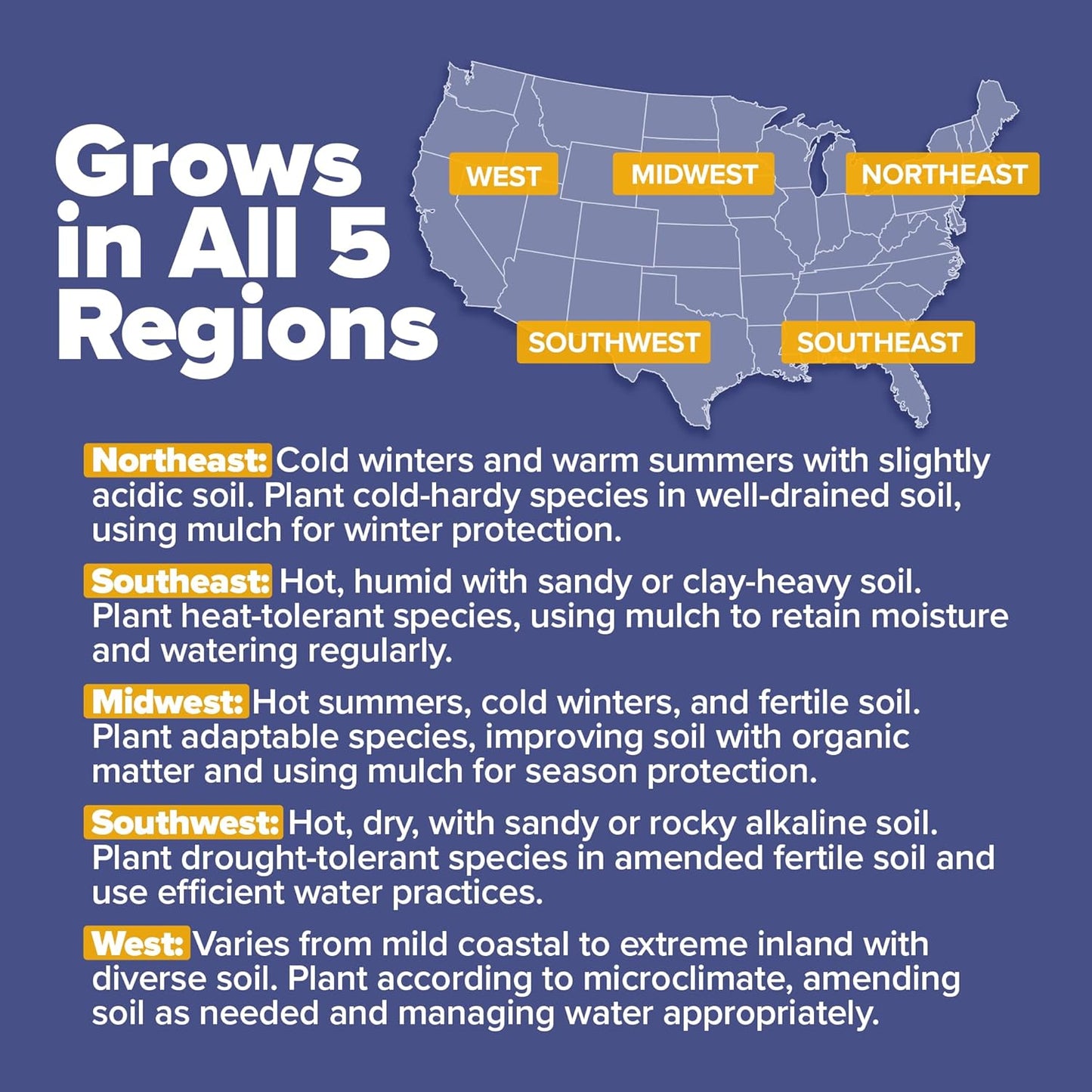 HOME GROWN 𝗨𝗦𝗔 𝗣𝗥𝗘𝗠𝗜𝗨𝗠 Wildflower Seeds Bulk 4 oz 63,200+ Seeds 19 Varieties Non-GMO Perennial Mix, Butterfly & Pollinator Flower Seeds, Attract Bees, Birds & Hummingbirds, Outdoor Planting