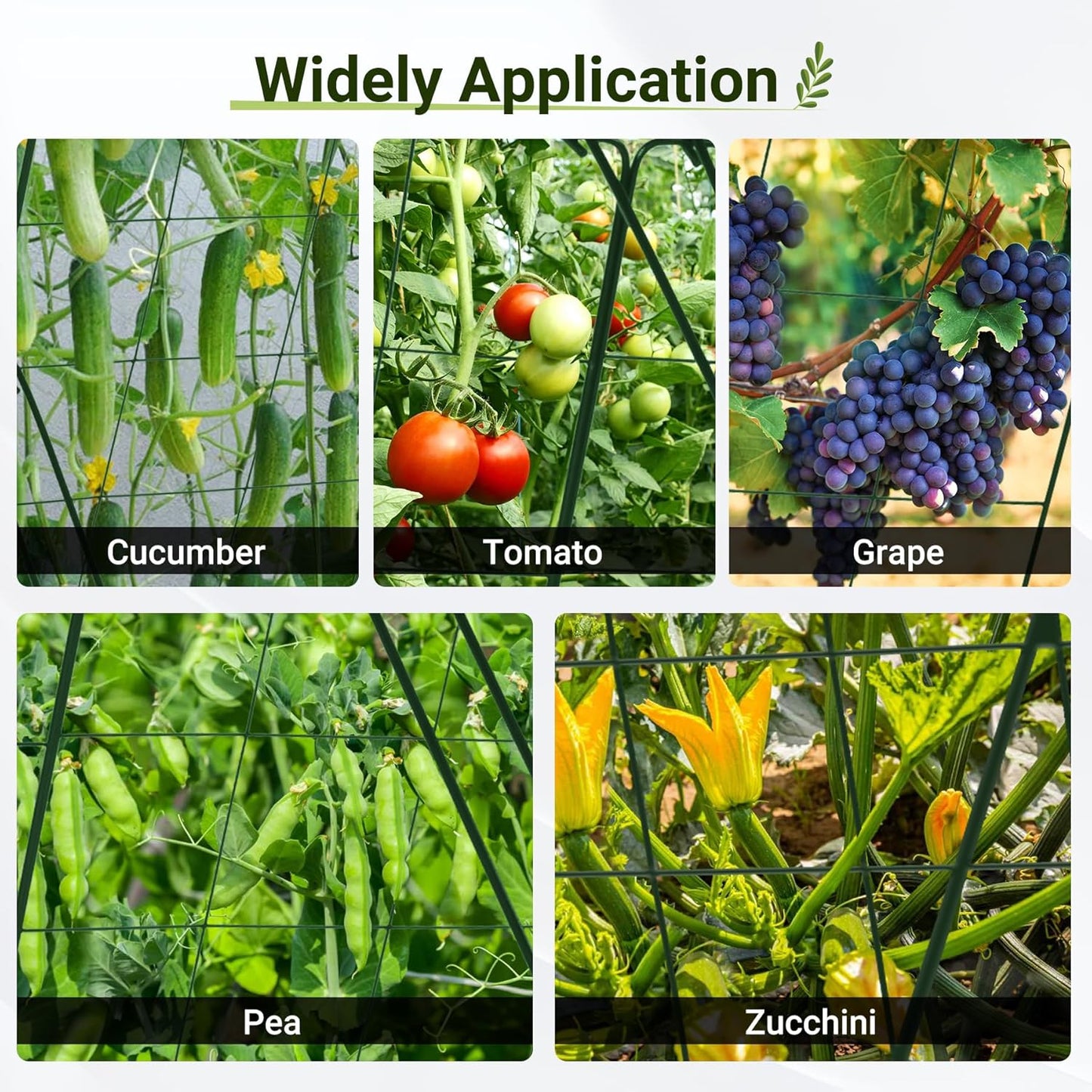 Cucumber Trellis for Raised Bed, 48" L x 32" W Garden Trellis for Climbing Plants Outdoor with Support Structures, A Frame Trellis for Climbing Vegetables Peas, Vine, Bean - 2 Pack