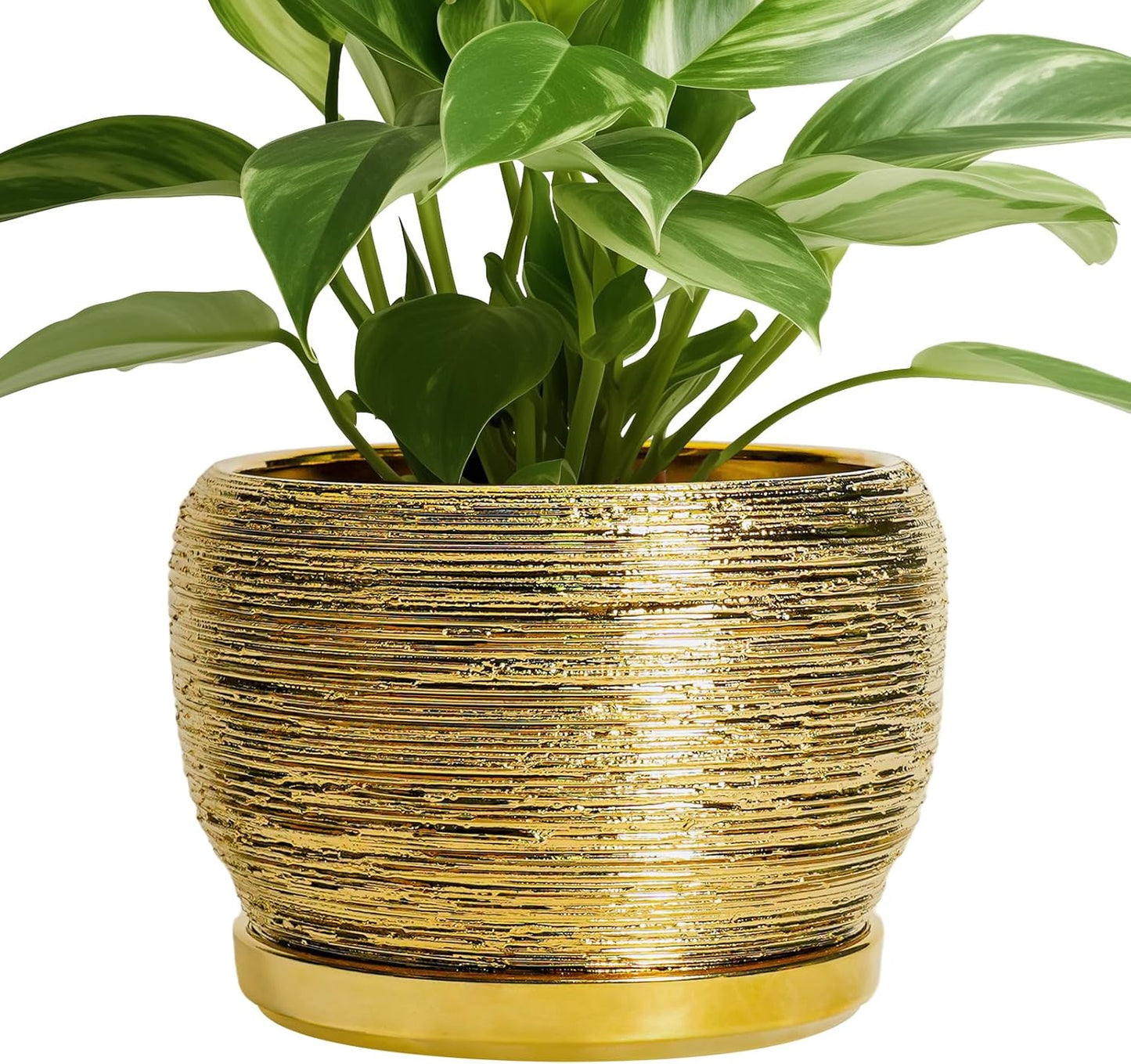 SQOWL Ceramic Flower Pot - 8 Inch Plant Pot Indoor Outdoor, Round Planter with Drainage Hole and Saucer, Decorative Modern Planter, Home Decor, Plant Lovers Gifts, Gold