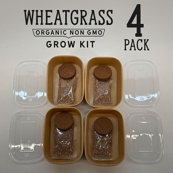 Organic Wheatgrass Premium Grow Kit 4 Pack | Whetagrass Juice | Catgrass | Non GMO Mixed Seeds | Wheatgrass Shot