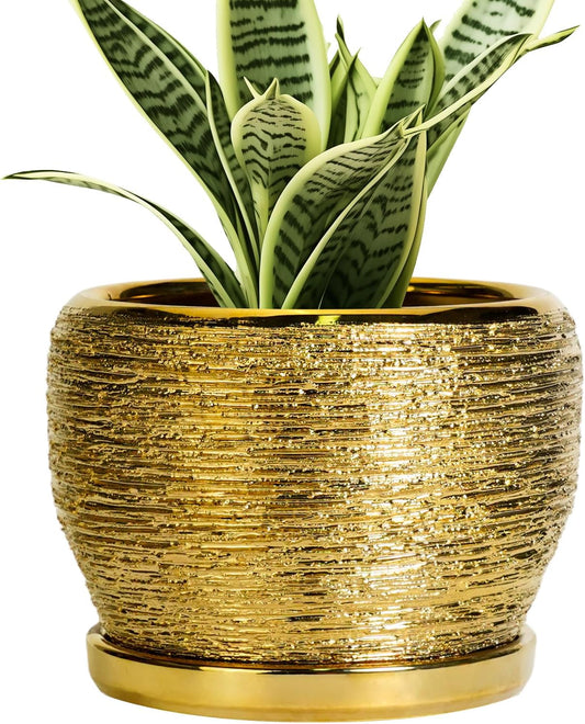 SQOWL Ceramic Planter - 6 Inch Plant Pot Indoor Outdoor, Modern Round Planter with Drainage Hole and Plant Saucer, Decorative Small Flower Pot, Home Decor, Birthday Gifts, Gold