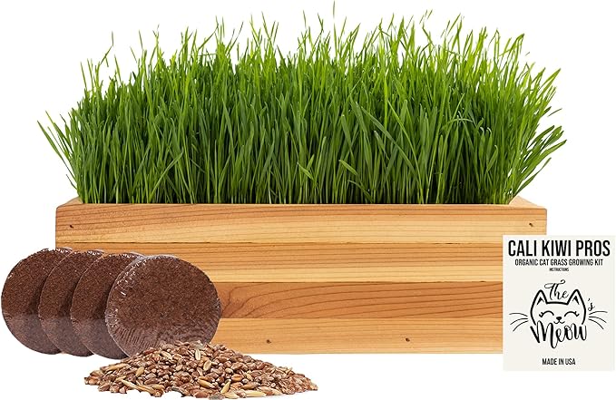 Cat Grass for Indoor Cats Kit – Organic & Handcrafted Cedar Planter with Fast-Growing Wheatgrass for Cats, Hairball Remedy with Pet-Friendly Planter (Natural)