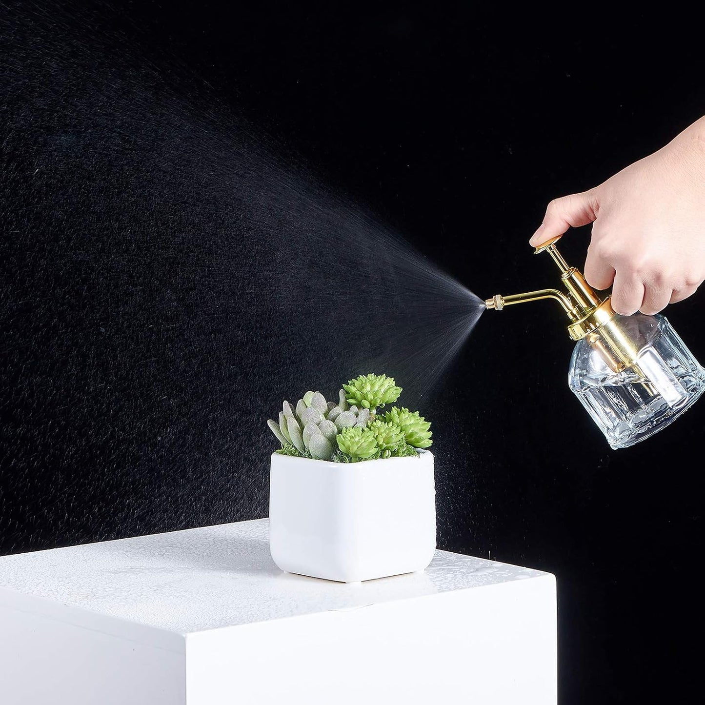 Glass Plant Mister Spray Bottle, Succulent Watering Bottle with Golden Top Pump, Vintage Plant Spritzer, Decorative Water Sprayer Small Watering Can for Indoor Outdoor Houseplant - Clear