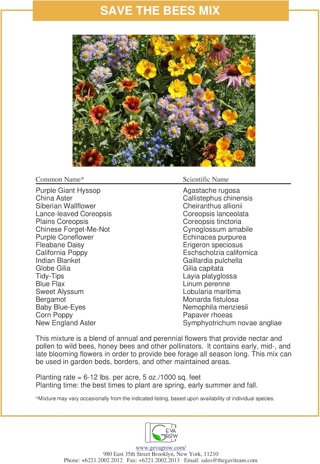 Wildflower Seed Mix 1LB Tub - Save The Bees Seed Mix, by GevaGrow | Bulk 300,000+ Seeds | Pollinator & Bee Attracting Flower Seeds Bulk for Planting in Pots & Outdoor Gardens | 1 Pound Tub