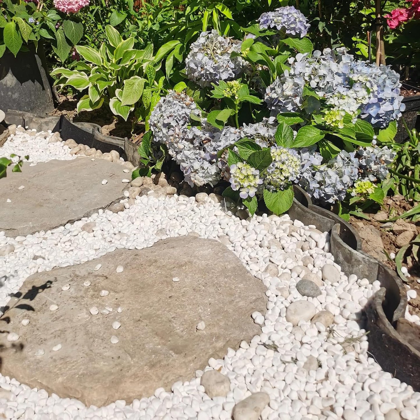 5 lbs White Pebbles for Indoor Plants, 0.5-1 Inch Pea Gravel Stones for Planters, Decorative River Rocks for Succulent, Cactus, Vases, Aquariums, Crafting and Garden Landscaping