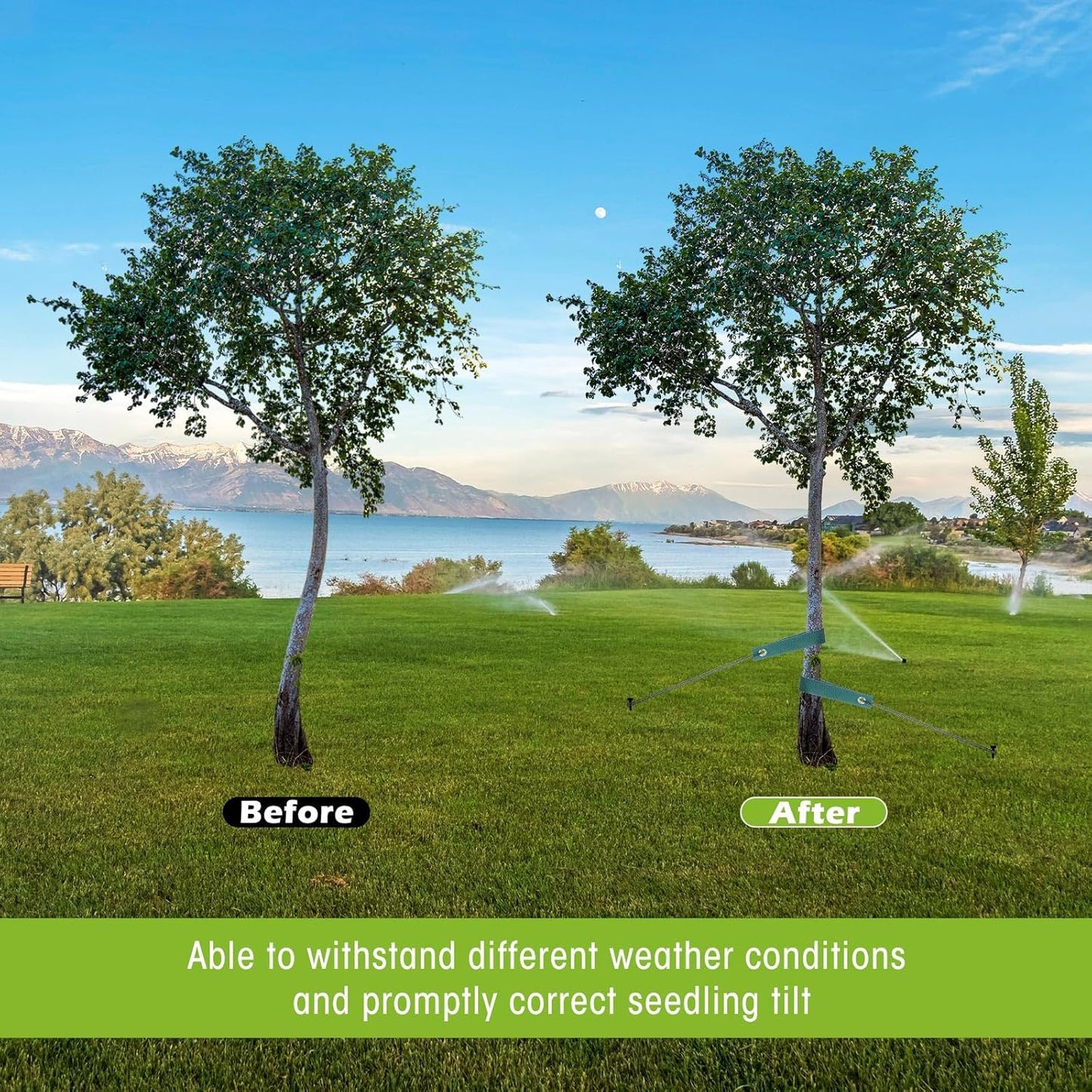 Sintuff 9 Set Heavy Duty Tree Stake Kit 15.75 Inches/ 40 cm Tree Straps for Staking and 13.12 ft/ 4 m Dock Lines Rope for Support Anchoring Home Leaning Plant Straightening Garden Tent(Green)