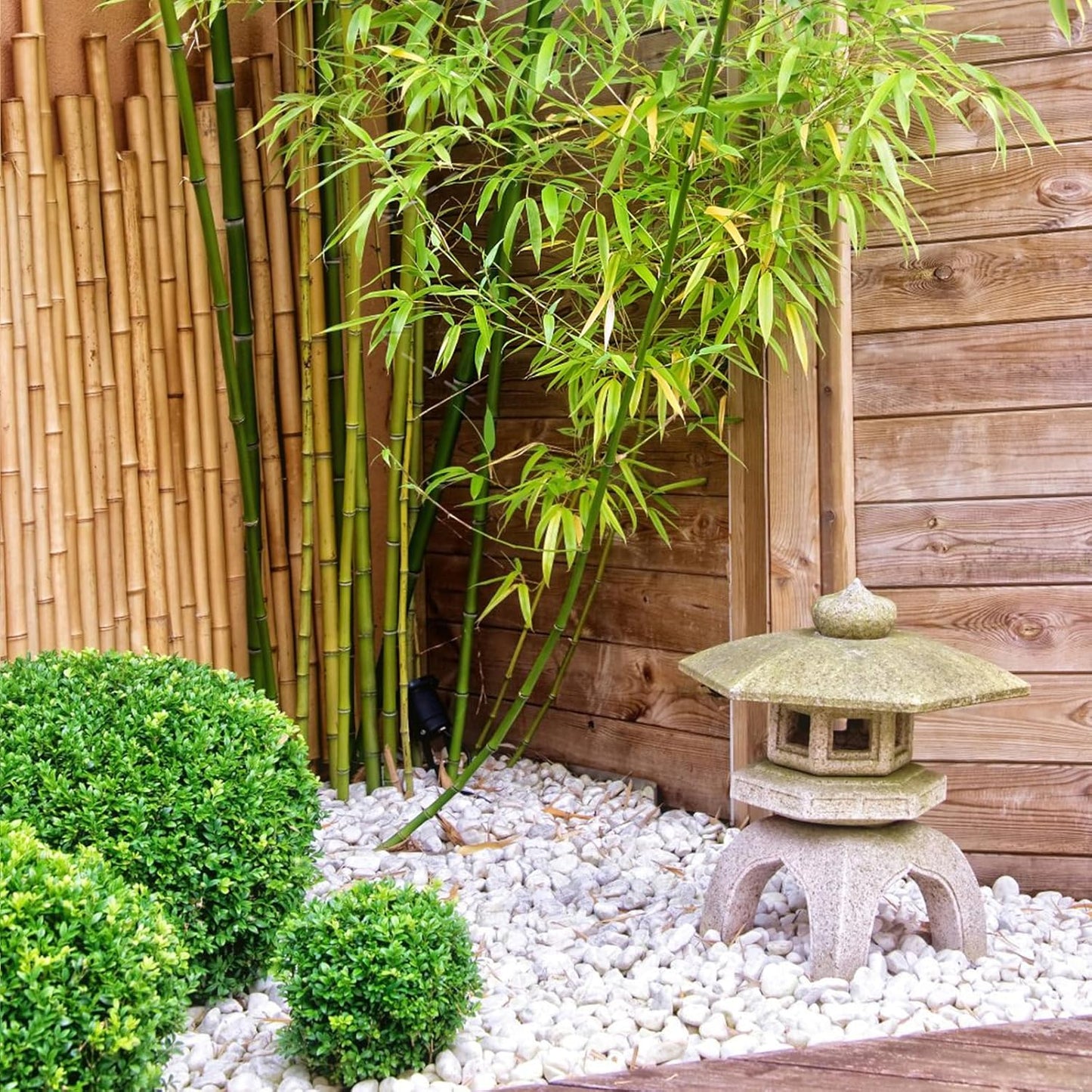 40 Pounds Large White River Rocks for Outdoor Landscaping, 2-3 Inch Natural White Stones for Planters, Polished Decorative Pebbles for Indoor Plants Vase, Aquarium and Garden Rocks