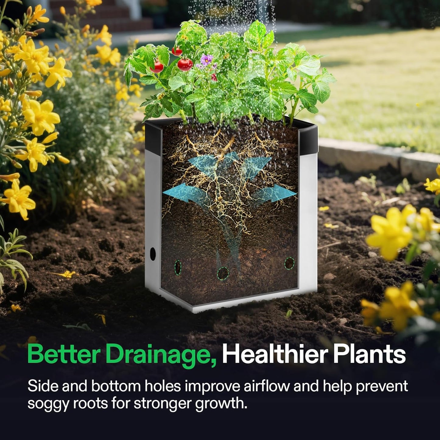 VIVOSUN 50-Pack 1 Gallon Grow Bags for Plants, Black-and-White Panda Film Containers Thick Plastic Bag for Potting Seedlings, and Rooting