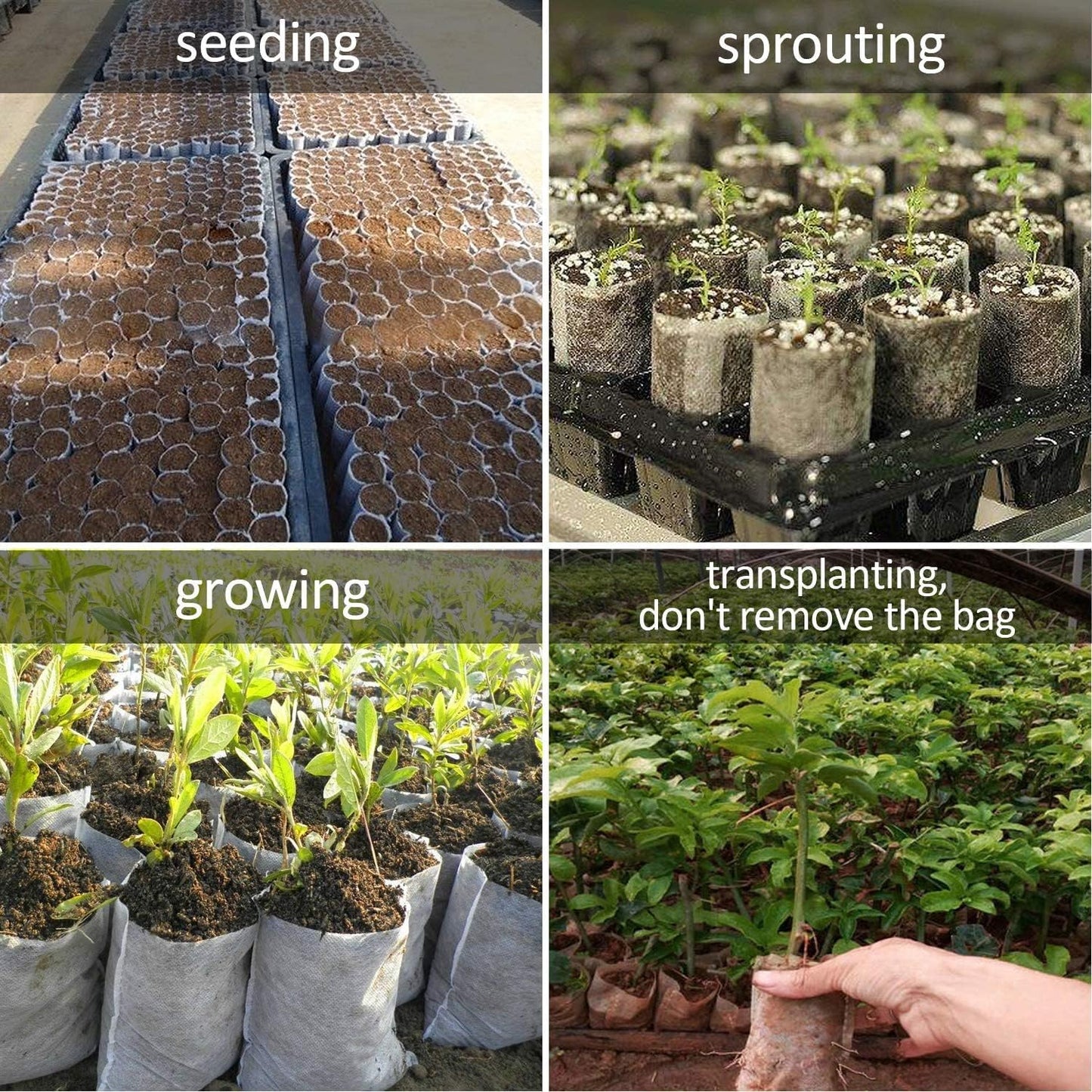 Augshy Grow Bags, 400pcs Plant Bags, Non-Woven Plants Nursery Bags, Seeding Bags, Fabric Seedling Pots Plants, Home Garden Outdoor Greenhouse Supplies 11x11cm/4.2"x4.2"