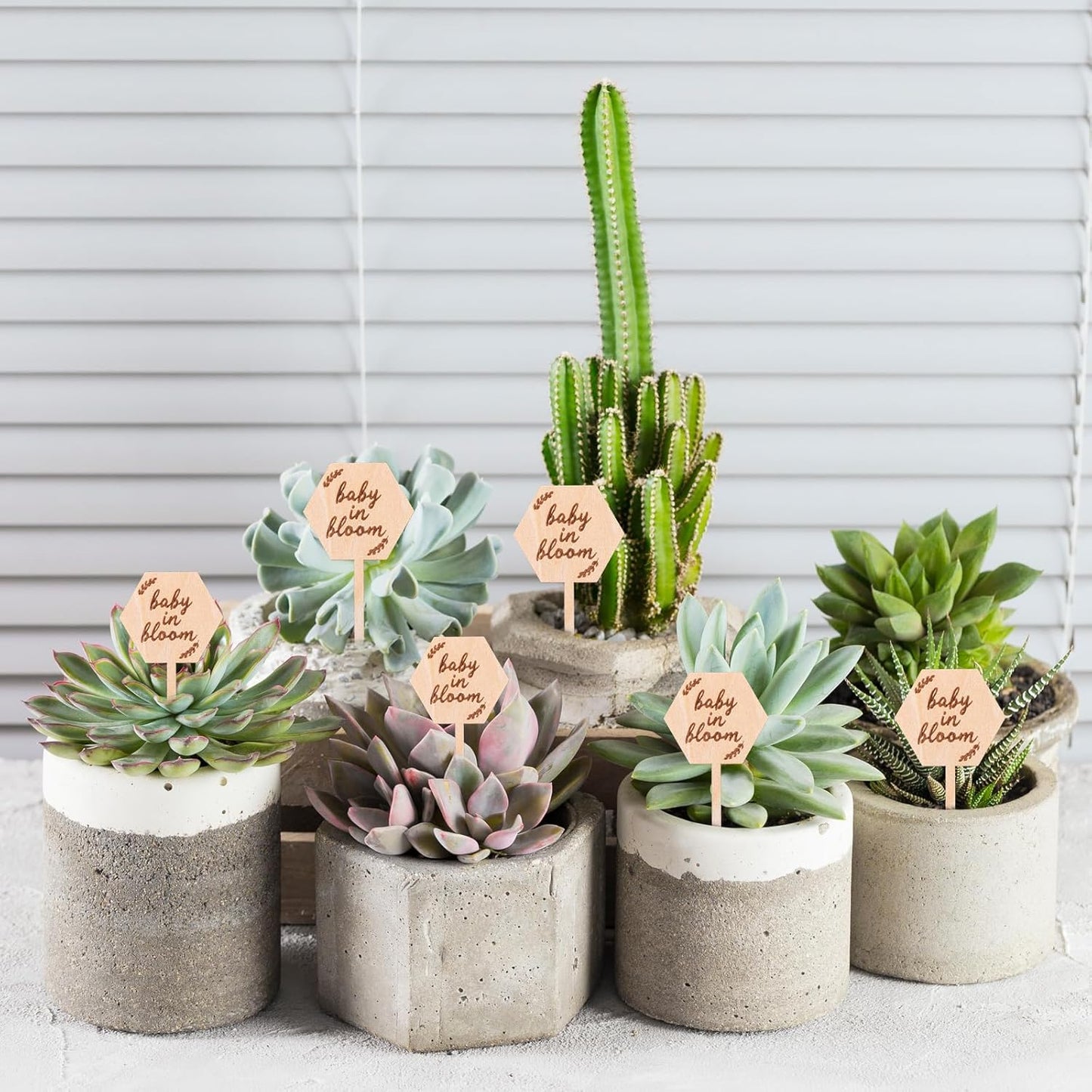 20Pcs Baby in Bloom Wooden Plant Labels, Garden Markers with Laser Engraved Design Baby Shower Decorations Succulent Tags for Potted Plants Party Favors Gifts