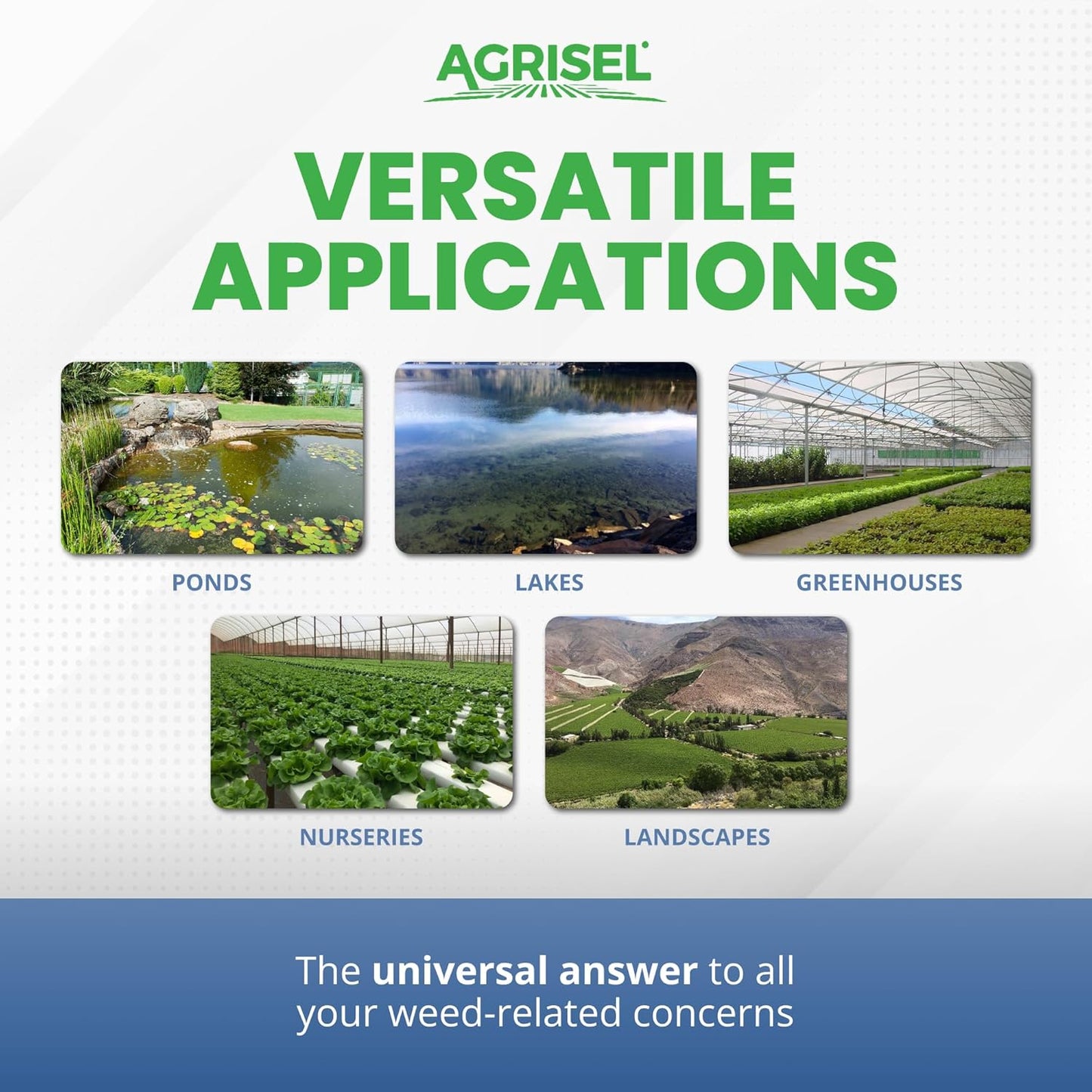 Diquat Weed Killer, Fast-Acting Formula for Aquatic and Landscape Weeds, Safe on Ornamentals, Visible Results in 1-2 Days, Pet Safe, 3-Pack of Disposable Gloves Included, 32 Ounces