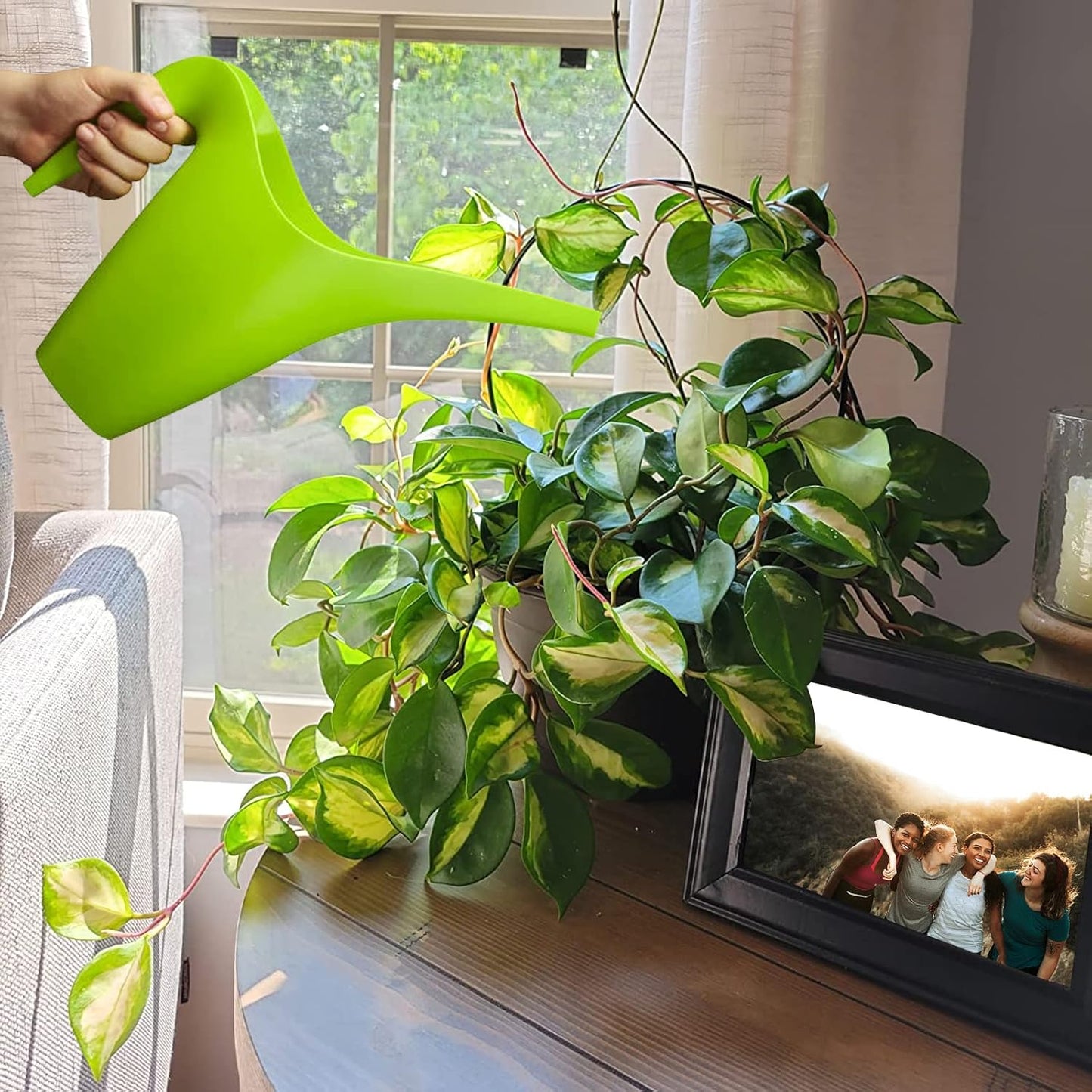 Acrux7 10 Pcs Circle Trellis for Climbing Plants Indoor Small Trellis for Potted Plants Plant Trellis for Hoya Vines Topiary Frames