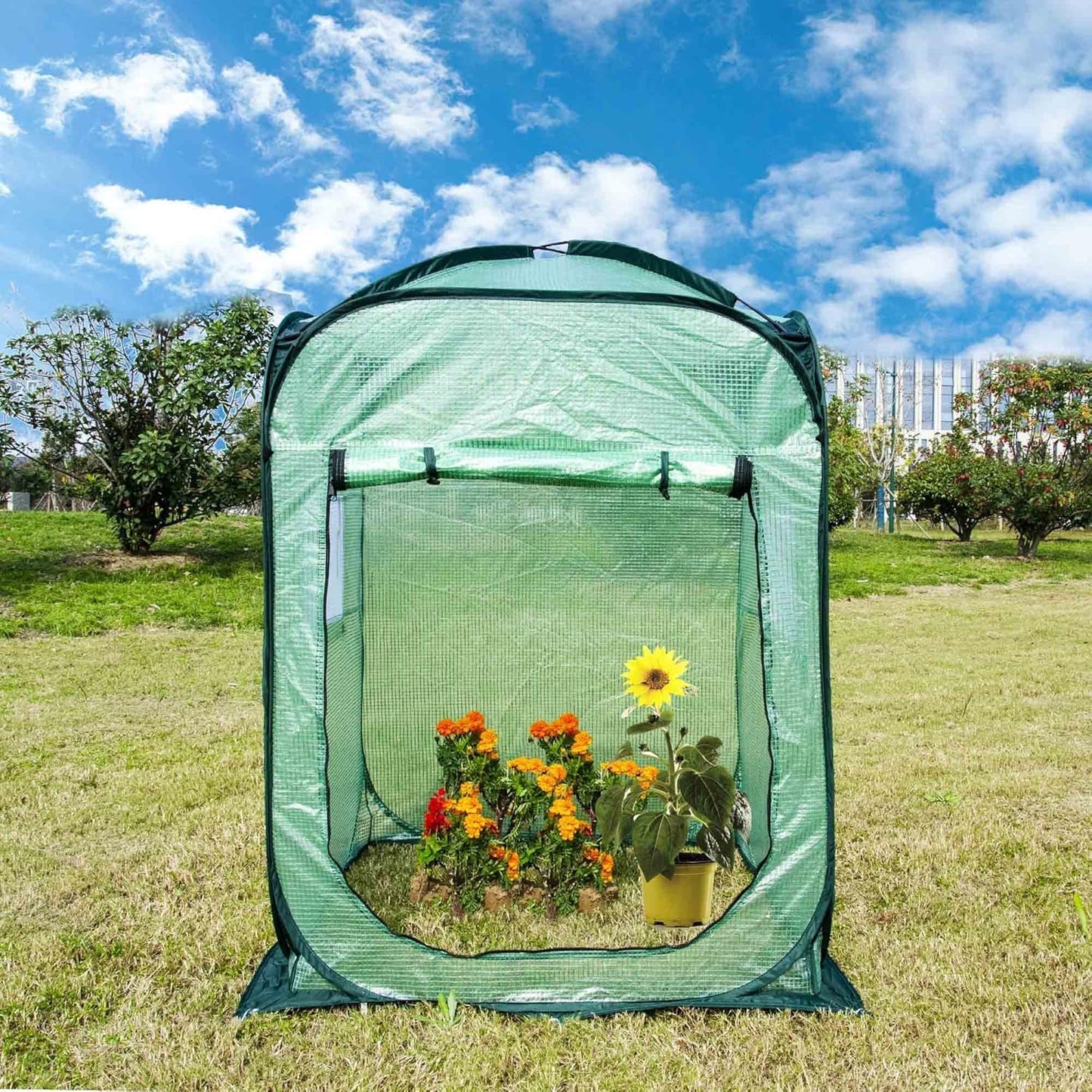 Porayhut Pop Up Greenhouse Tent,Portable X-Large Walk-in Flower House ,Indoor Outdoor Gardening Plant Sunshine Room with PE Mesh Cloth Cover for Protecting Plant from Cold Frost & Birds