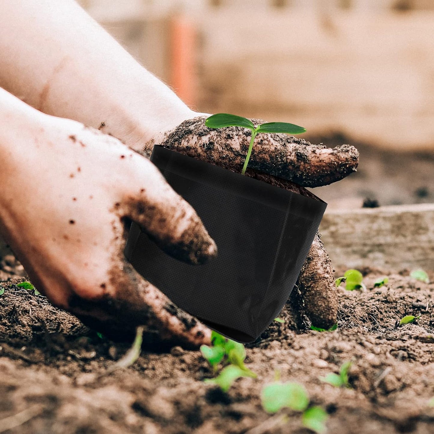 AC Infinity Nursery Bags 1/4 Gallon, Non-Woven Fabric Growing Pouches, 50-Pack Plant Pots for Seed Starting, Soil Transplant, Home Garden Supply