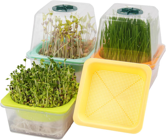 Microgreen Growing Trays, LUVCSOY Sprouting Tray with Humidity Dome, 1.2 mm Small Mesh Holes, BPA Free, Sprouter Kit for Growing Mirco Seeds, Like Broccoli, Alfalfa, Radish, Clover - 4 Pack | Clear