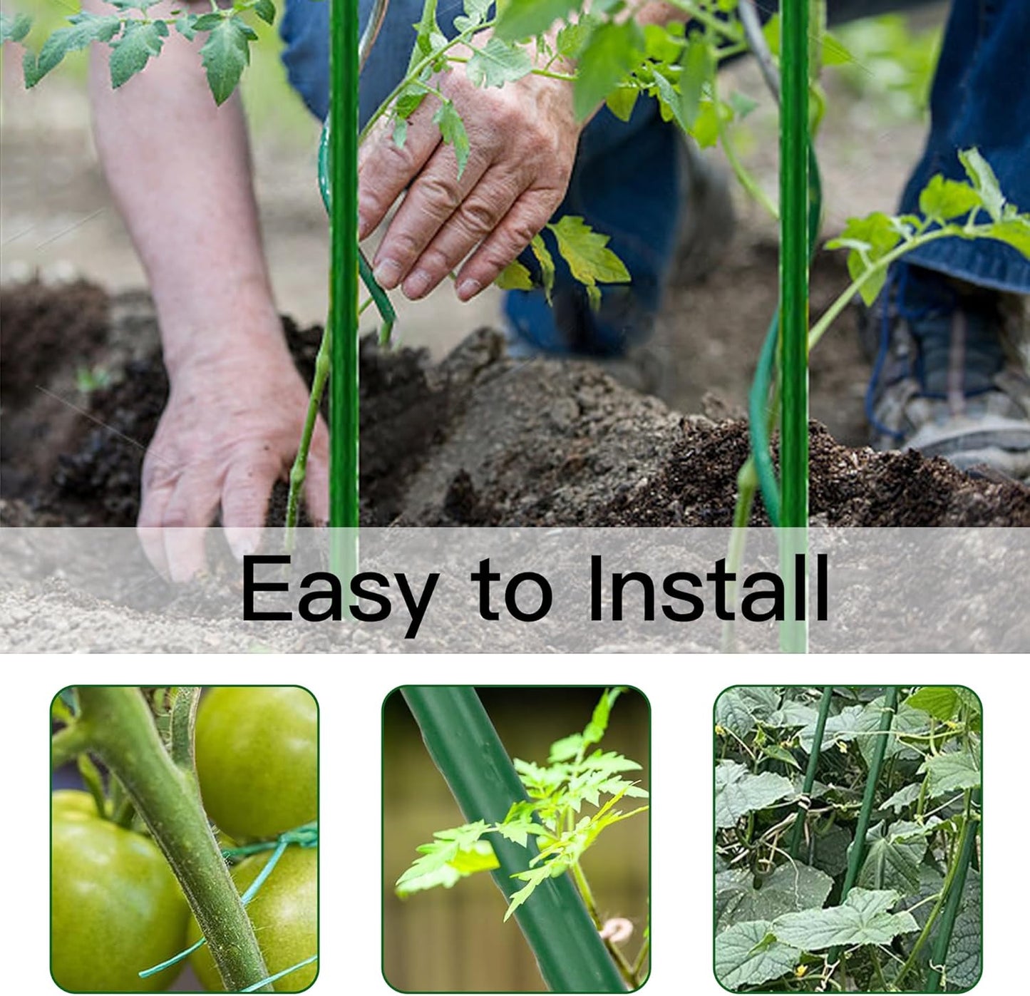 Garden Stakes 8ft, Metal Plant Stakes 8 Feet for Gardening and Farm, 0.78 Inch Dia Plastic Coated Plant Support for Tomato, Cucumber, Bean, Flower, Potted and More Climbing Plants 10 Pack