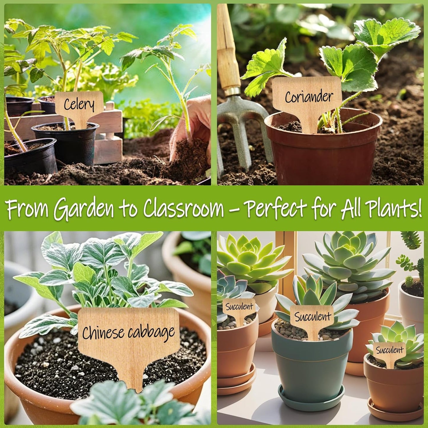 Zkptops 100Pcs Plant Labels Plastic Plant Tags Garden Plants Markers Waterproof Seed Markers Sticks Outdoor Garden Labels Stakes Sign Greenhouse Plants Name Tags for Seedling Vegetables Herbs Flowers