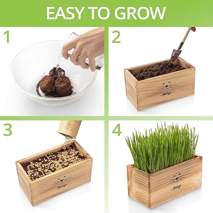 Cat Grass Kit for Indoor Cats – x4 Seed Packets | Cat Grass Seeds with Wooden Planter, Soil & Mini Gardening Tools for Nipping – Pet-Safe Wheatgrass Grass