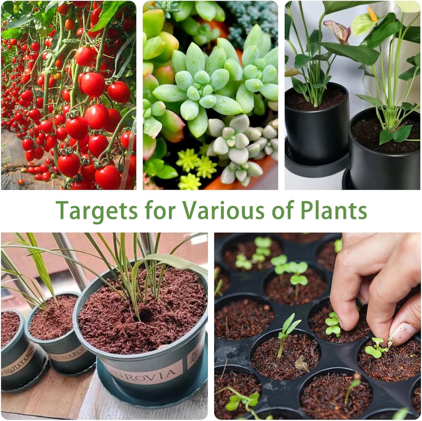 Coco Coir Brick - 4 Pack Coconut Soil - Low EC & PH Balance - High Expansion - Renewable Coco Fiber for Herbs & Flowers