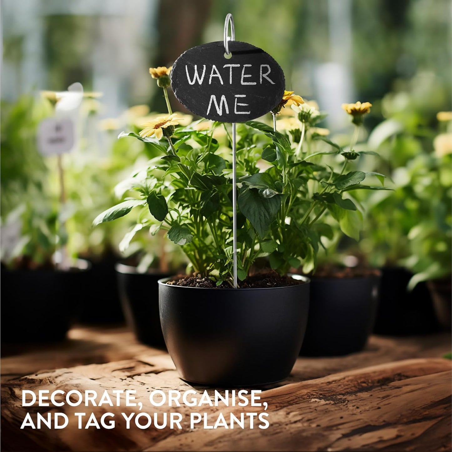 Navaris Slate Garden Markers (10 Pieces) - Plant Marker Label Signs with Stakes - for Plants, Vegetables, Herbs, Gardens - Includes Chalk Pencils - Oval