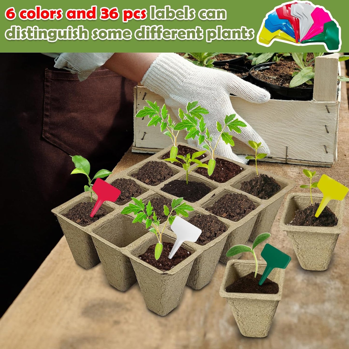 PINVNBY 432 Cells Seed Starter Tray 36 Packs Biodegradable Peat Pots for Seedlings Disposable Seedling Starter Trays with 36 Labels and 2 Transplant Tools