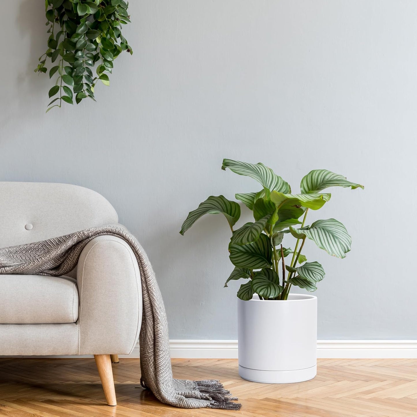 D'vine Dev Set of 2 Plants Pots, 10 Inch Ceramic Planter Pot for Plants with Drainage Hole and Saucer, White, 94-V-E-1