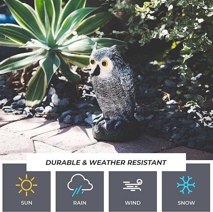 Galashield Owl Decoy to Scare Birds Away | Plastic Owls to Scare Birds Away | Owl Statue for Garden & Outdoors [Set of 2]