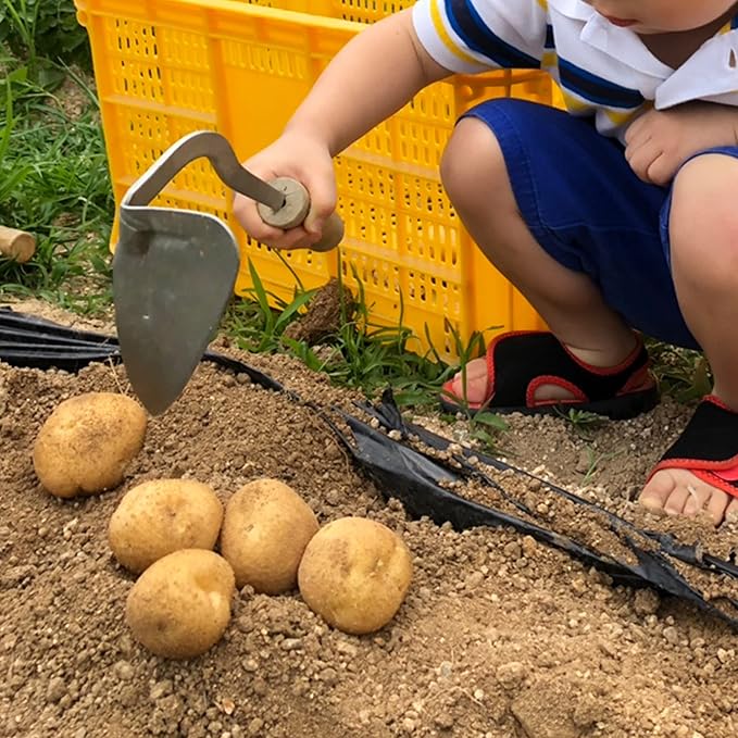 Premium Forged Gardening Hand Plow Hoe, Korean Daejanggan Style Ho-Mi(Weeding Sickle) for EZ Digger Tools 1 Pack