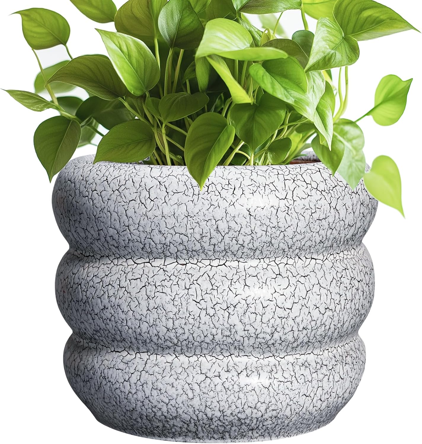 SQOWL Ceramic Pots for Plants - 8 Inch Plant Pot with Drainage Hole, Round Planter for Indoor Plants, Ceramic Flower Pots Outdoor, Modern Planter, Room Decor, Gifts for Plant Lover, Black and White