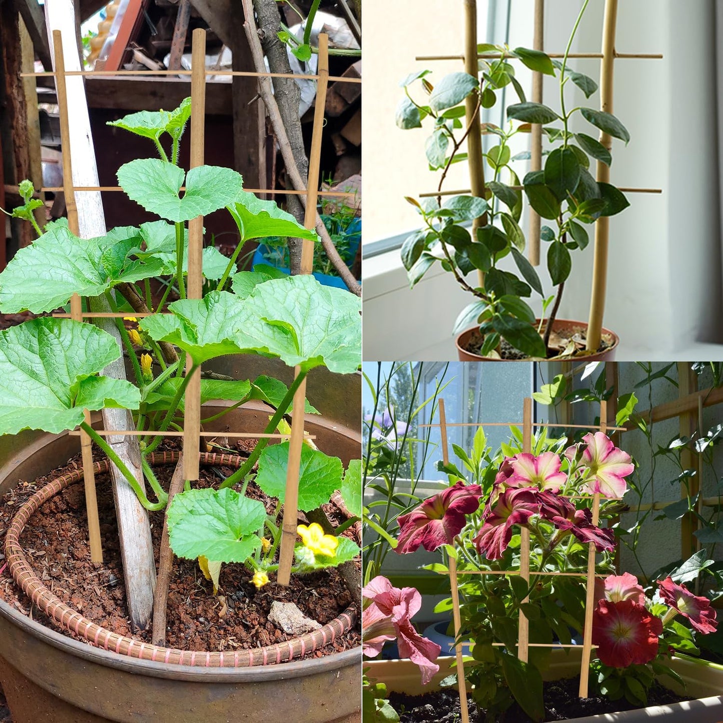 Garden Bamboo Trellis 16 Inch Fan Shaped Small Plant Trellis,Natural Wood Trellis for Climbing Plants Orchid Monstera Indoor Potted Plants-3 Pack