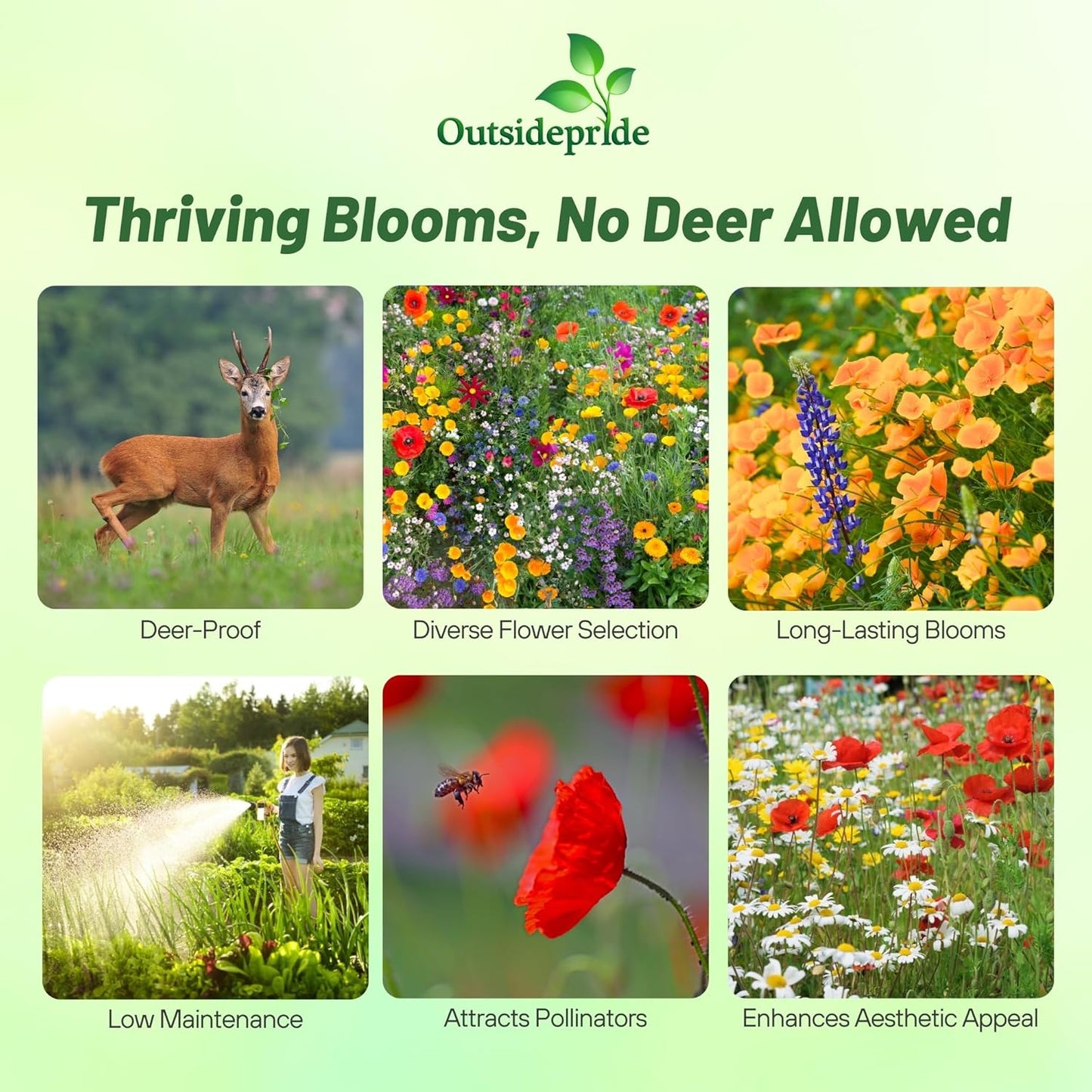 Outsidepride Deer Proof Wildflower Seed Mix - 1/4 lbs. Colorful Blend of Easy to Grow, Drought-Tolerant Annual & Perennial Wildflower Seeds for a Deer-Free,Vibrant Meadow & Pollinator-Friendly Garden