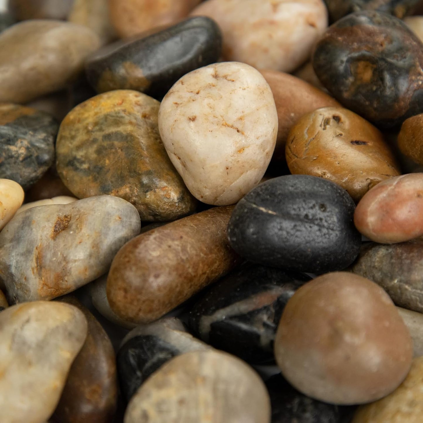 MSI Decorative Polished Mixed Pebbles, 0.7 inch - 1.2 inch, 40 lb. Bag