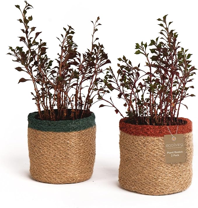 Jute Planter Basket-Woven Jute Rope Covers for Decorating Indoor/Outdoor Succulents, Small Plant Pots-Set of 2-Multi-Purpose Storage Bins 4.5 in - Modern Style Décor - Red, Green & Natural