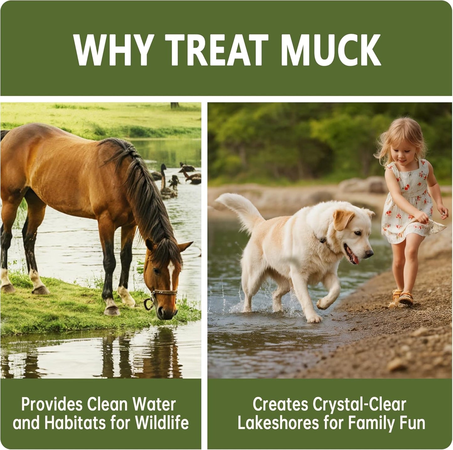 Muck Reducer - 1LB Natural Sludge Solution Tablets for Ponds & Lakes, Away Muck & Odor Control, Safe for Aquatic Life, Wildlife & Recreation, Treats Up to 6,000 Sq Ft