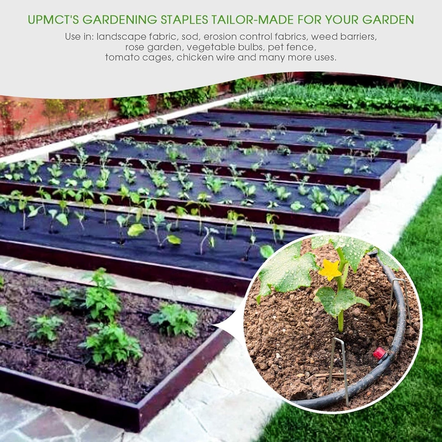 6 Inch Galvanized Garden Landscape Staples Stakes 25 50 100 PCS Anti-Rust Garden Staples U-Shaped Landscape Pins for Secure Lawn Fabric (50, 6 Inch)