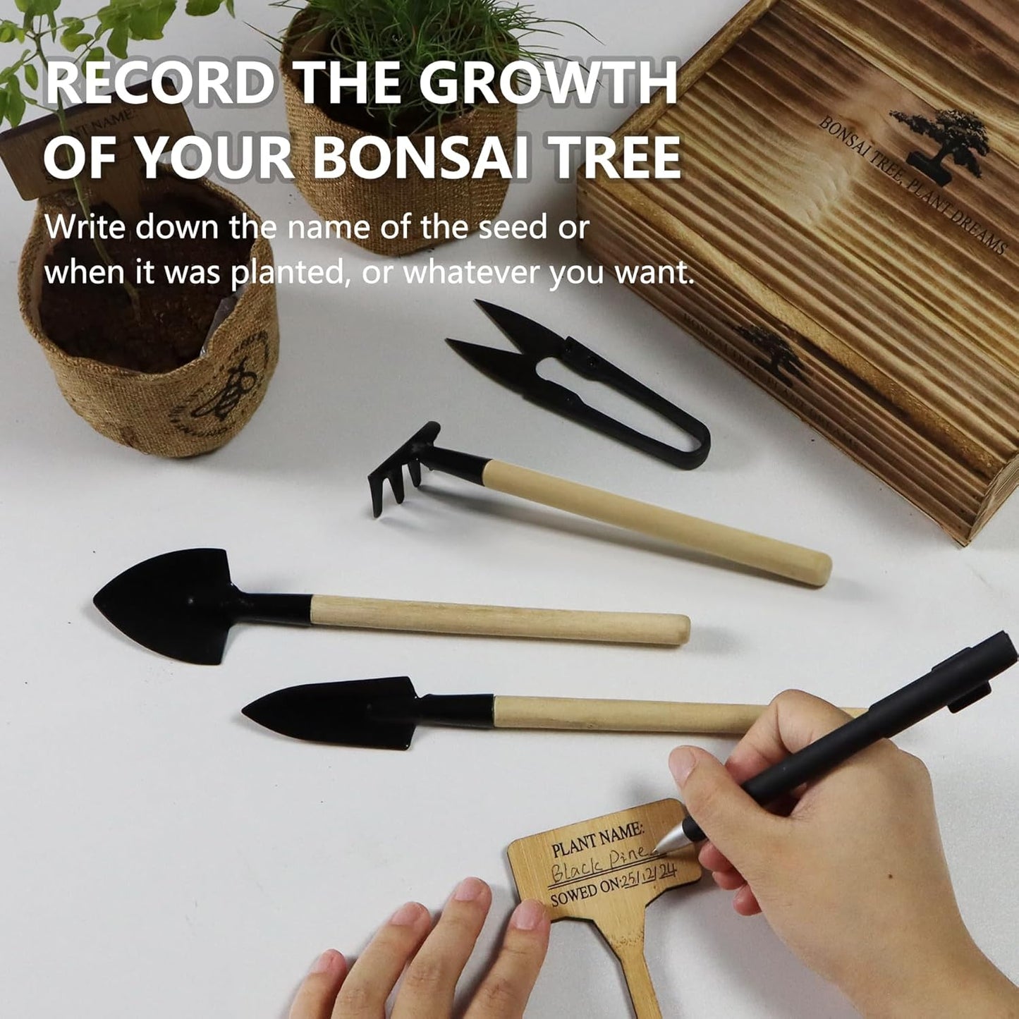 Bonsai Tree Kit – DIY Japanese Bonzai Trees with All-in-One Indoor Plant Growing Tools & Planters – Unique Gardening Gifts for Women, Men & Kids