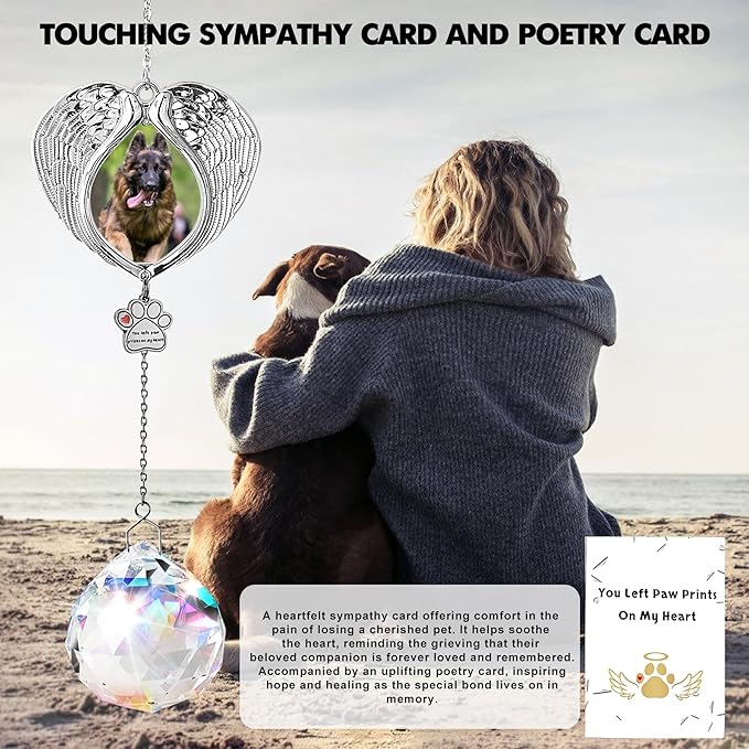 Pet Memorial Suncatcher - Dog Memorial Gifts for Loss of Dog, Christmas Pet Paw Print Photo Ornament, Pet Sympathy Gift, Bereavement Gift Ideas for Dog or Cat Passing Away, Remembrance, Silver Metal