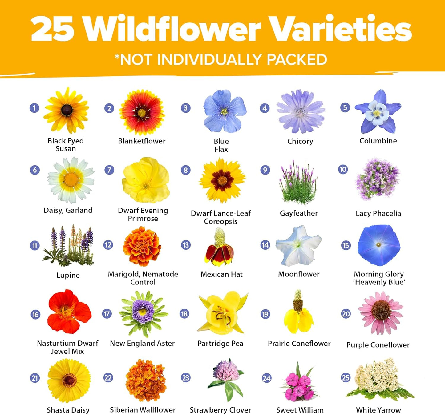 HOME GROWN 𝗨𝗦𝗔 𝗣𝗥𝗘𝗠𝗜𝗨𝗠 Wildflower Seeds - 44,000 Non GMO USA Perennial Seeds (2oz) 19 Varieties for Butterfly & Pollinator Garden - Wild Flower Seed Mix for Full Sun & Shade
