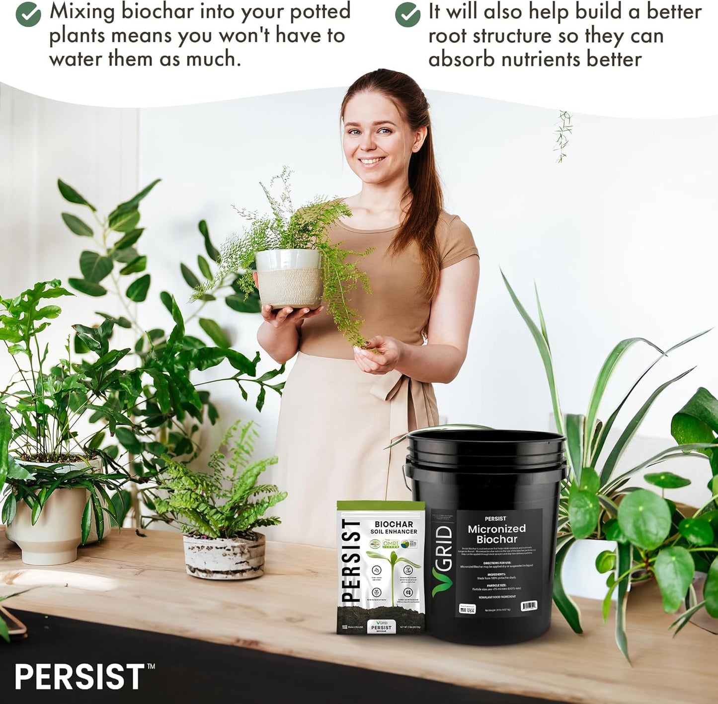 Persist Horticultural Charcoal 3qt Bag, Biochar Soil Amendment for Indoor Plants, Improves Soil for Terrariums, 100% Natural Active Carbon and House Plant Enhancer.