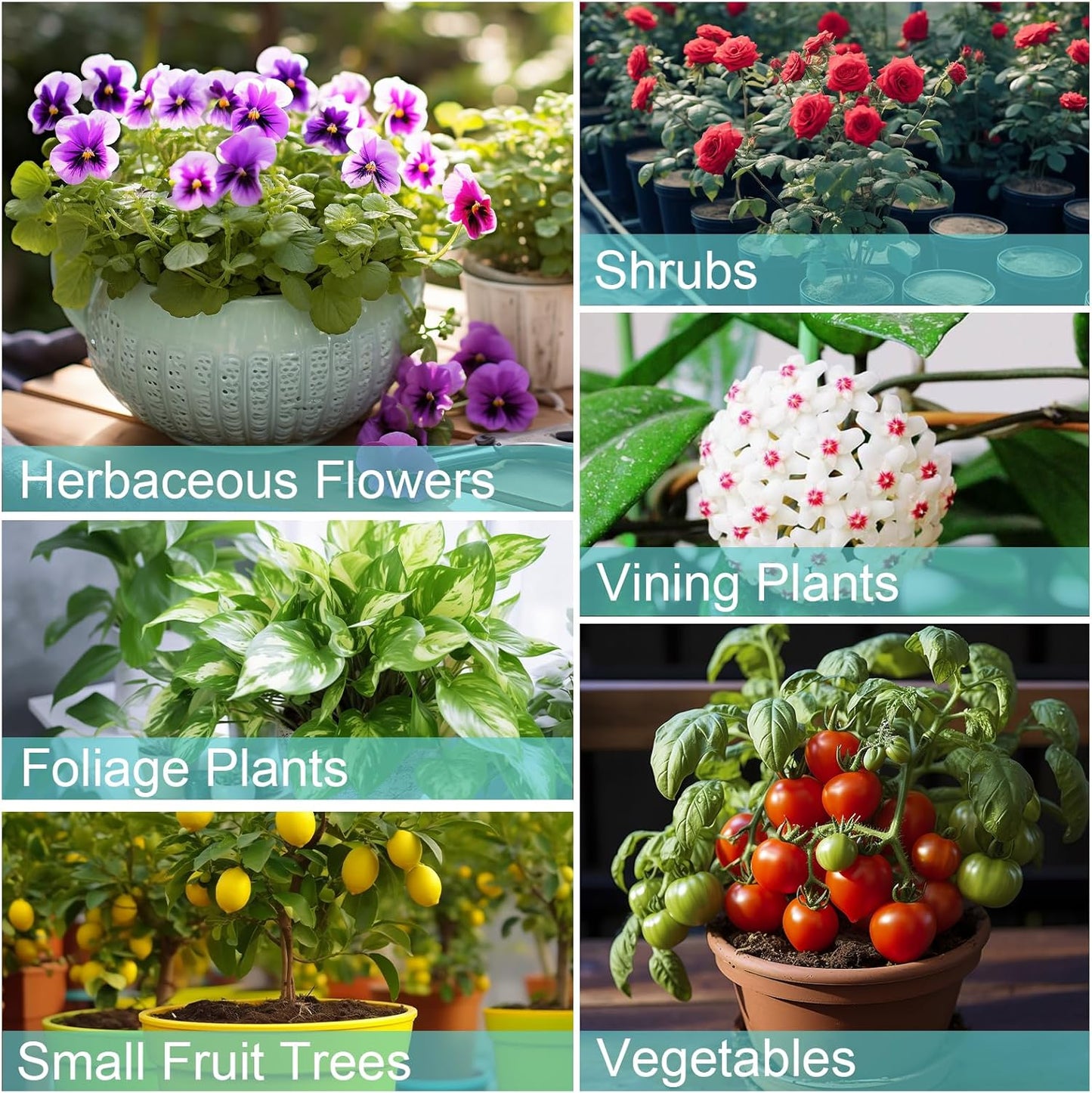 Potting Soil Mix 4qt for Indoor Plants, Organic Houseplant Soil Well Draining Dirt Ready to Use, Fit for House Plant Like Pothos, Philodendron, Monstera, African Violet