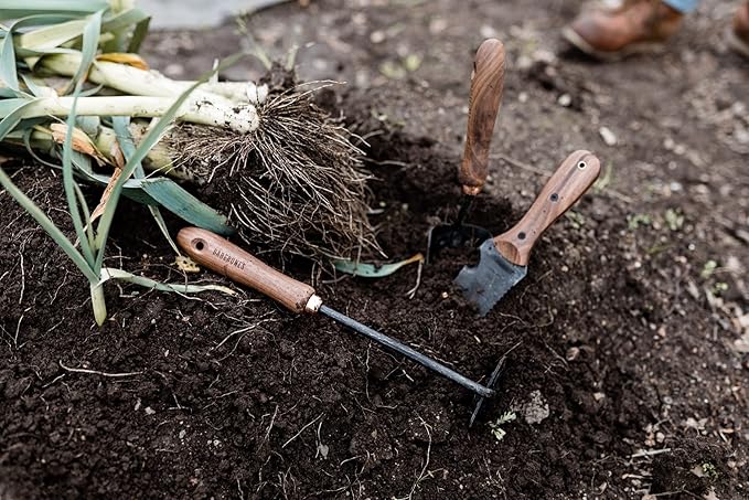 Barebones Square Hand Hoe - Garden Hoe for Weeding with a Long Handle - Japanese Gardening Tool, Sickle Garden Tool (Black/Walnut)
